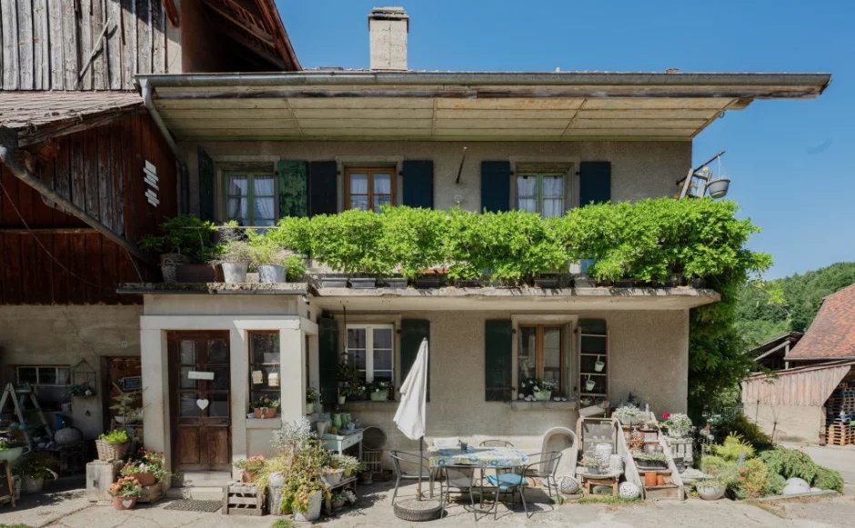 Ferme vaudoise avec potentiel de développement, Ogens, photo 3